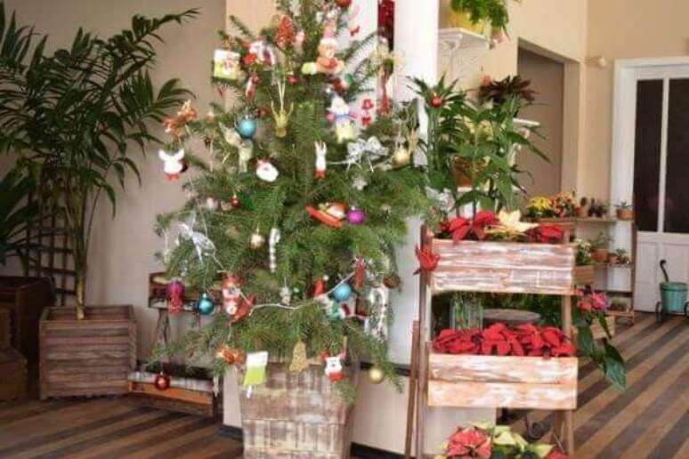 2- O pinheiro de natal natural decora as festas simples e sofisticadas. Fonte: Portal da Cidade Brusque