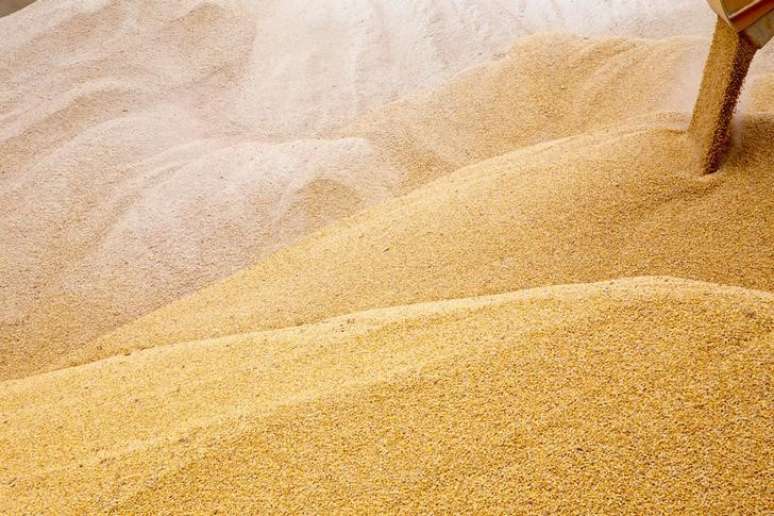 O agronegócio brasileiro pode registrar no ano que vem a maior safra da história, com uma produção de 238,41 milhões de toneladas de grãos