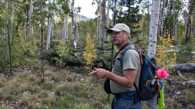 Paul Rogers se dedica a monitorar a vida do Pando