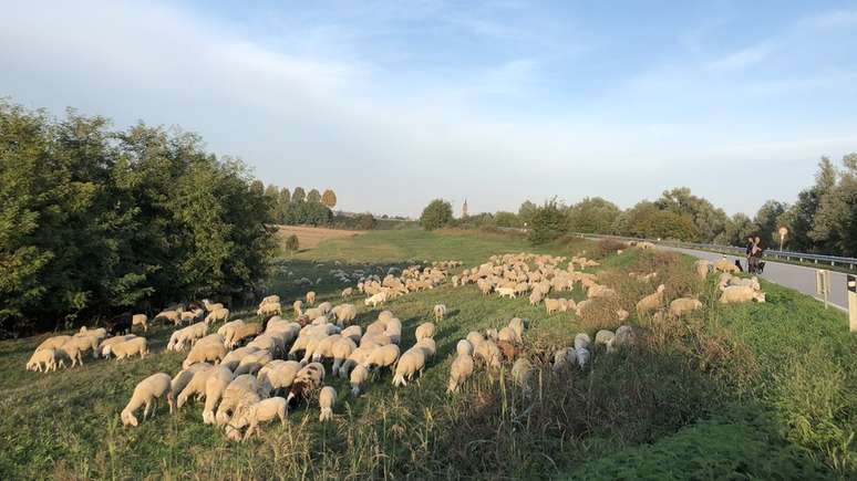 Anguillara (foto) e San Martino di Venezze têm ambiente predominantemente rural