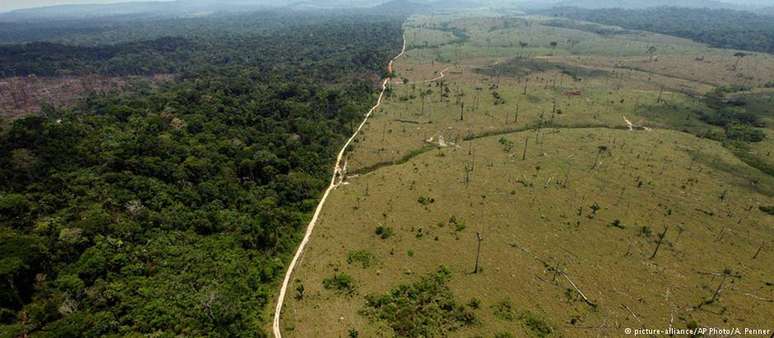 Desmatamento na Amazônia, segundo estudo, pode triplicar sob Bolsonaro