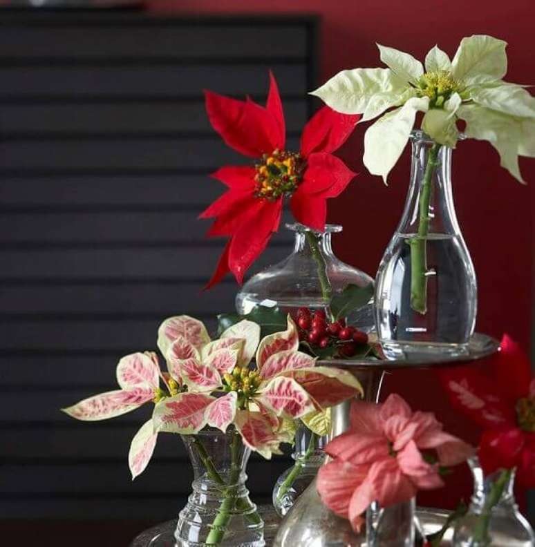14- Existem muitas cores de flor de natal que podem ser usadas na decoração de vários ambientes. Fonte: Studio lab Decor