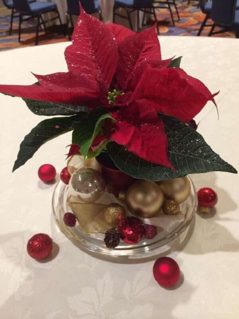 45- O centro de mesa foi feito com vaso em vidro transparente para colocar flor de natal e bolas coloridas. Fonte: Pinterest 