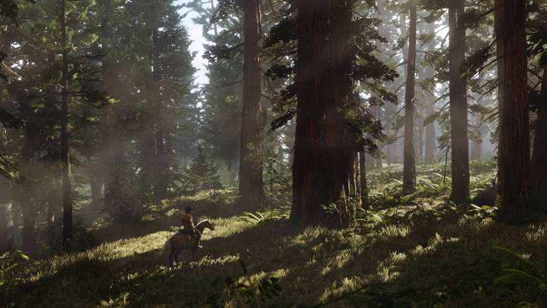 A Rockstar Games ainda não deu muitos detalhes de como será o modo online de 'Red Dead Redemption 2', só a informação que ele será lançado em novembro