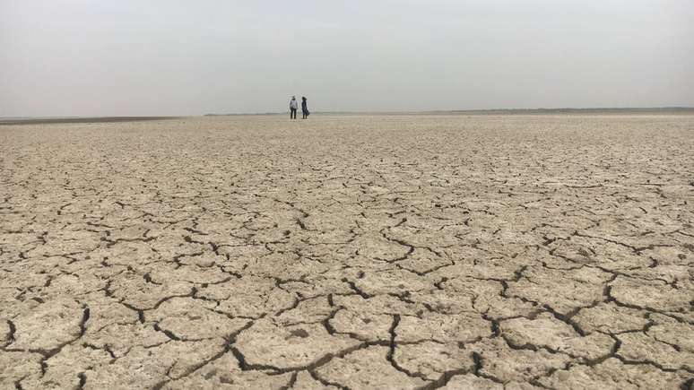 Agricultores sofrem com frequentes perdas causadas pela seca