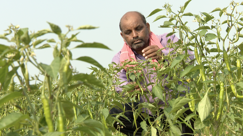 Vijendra Tadvi diz que o governo deveria investir em infraestrutura para a agricultura, não em estátuas