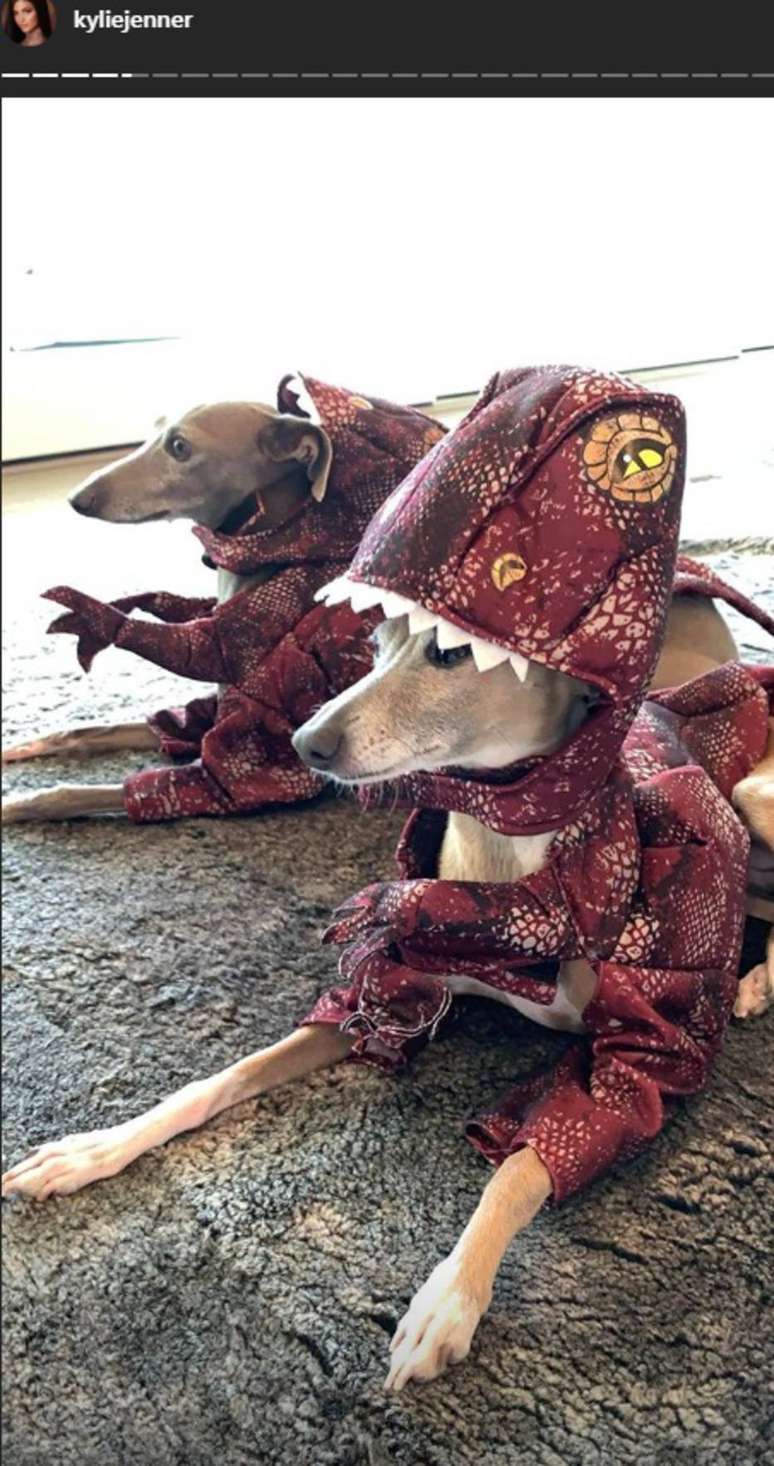 Cachorros de Kylie Jenner vestidos como dinossauros