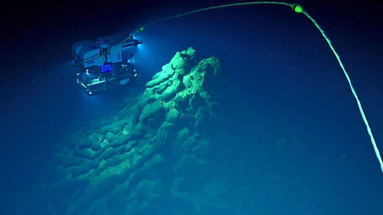 Imagens feitas por veículos robóticos usados para explorar a Fossa das Marianas, área mais profunda do planeta, permitiram a descoberta