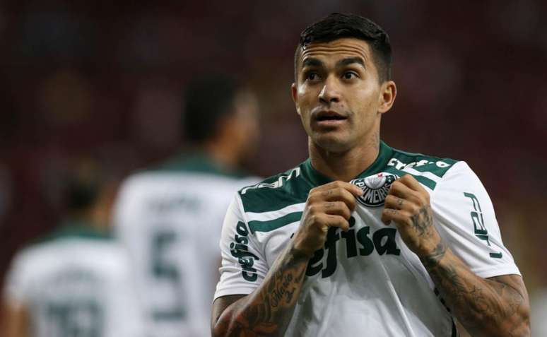 Dudu tornou-se um dos jogadores mais queridos do atual elenco do Palmeiras (Foto: Divulgação/Palmeiras)