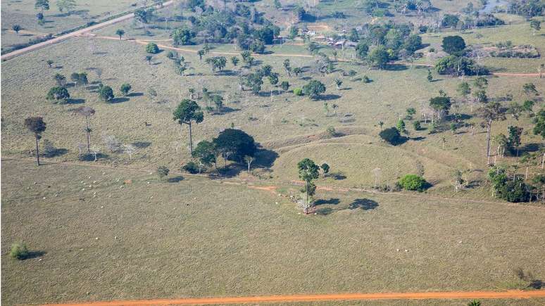 Teorias para os geoglifos v&atilde;o desde a ideia de que seriam currais para a cria&ccedil;&atilde;o de tartarugas at&eacute; a possibilidade de serem ligadas a ind&iacute;genas | Oscar Liberal/ IPHAN/Divulga&ccedil;&atilde;o