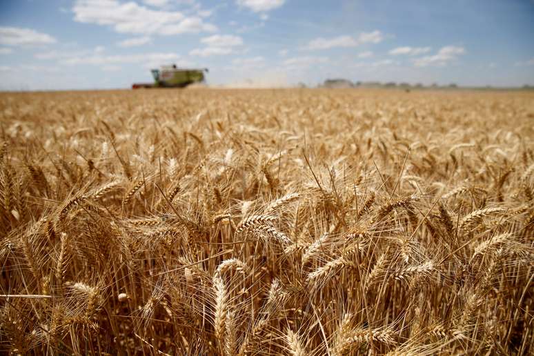 Colheita de trigo 
17/07/2018
REUTERS/Pascal Rossignol