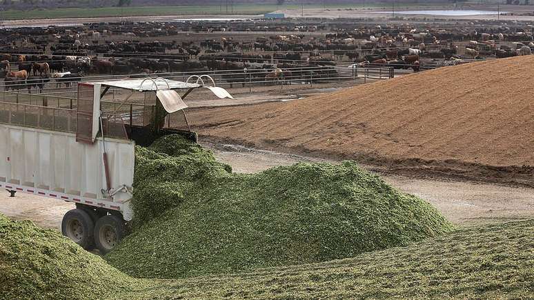 Rancho no Colorado foi um dos investimentos da JBS no exterior