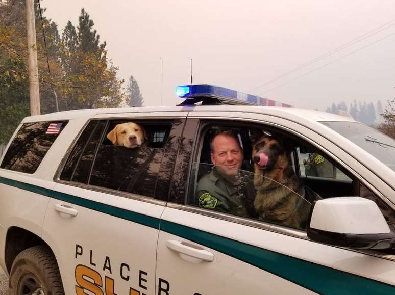Policiais resgatam alguns animais de estimação.