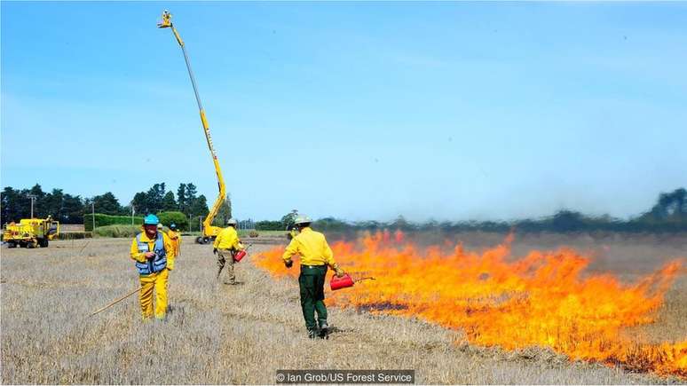 O Serviço Florestal dos EUA toma precauções especiais para garantir que os testes com fogo não fujam do controle