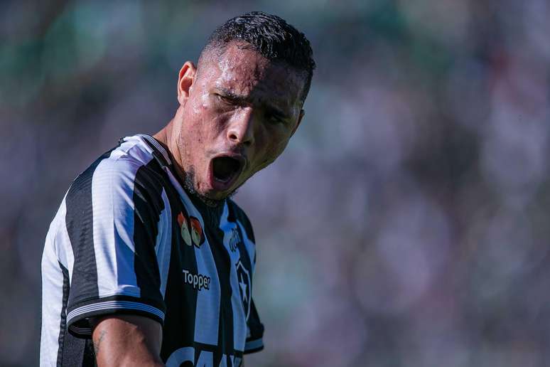  Luiz Fernando, jogador do Botafogo, comemora seu gol durante partida contra a Chapecoense