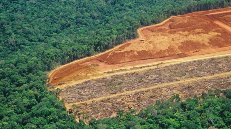 Desmatamento: se passar de certo ponto, as consequências podem ser irreversíveis, dizem pesquisadores