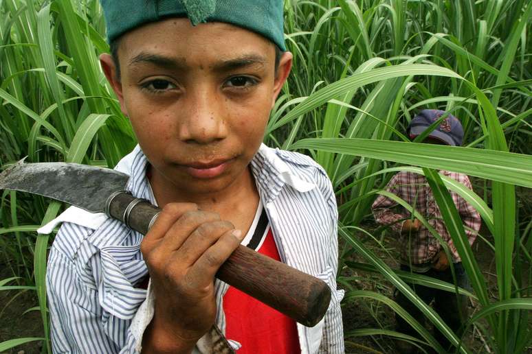 Joel Rivera, de 12 anos, trabalha em plantação de cana de açúcar em San Salvador, El Salvador 05/07/2004 REUTERS/Luis Galdamez 