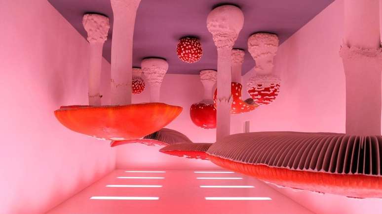 O quarto dos Cogumelos de Cabeça para Baixo, de Carsten Holler, tem cogumelos agáricos pendurados no teto