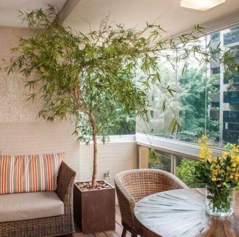 17- O bambu mossô é uma das plantas para dentro de casa que podem ser utilizadas para compor a decoração do canto da sala. Fonte: Pinterest