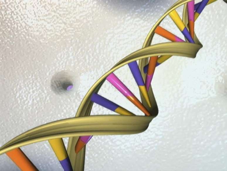 Imagem cedida à Reuters de uma dupla hélice de DNA 15/05/2012 REUTERS/National Human Genome Research Institute/Divulgação