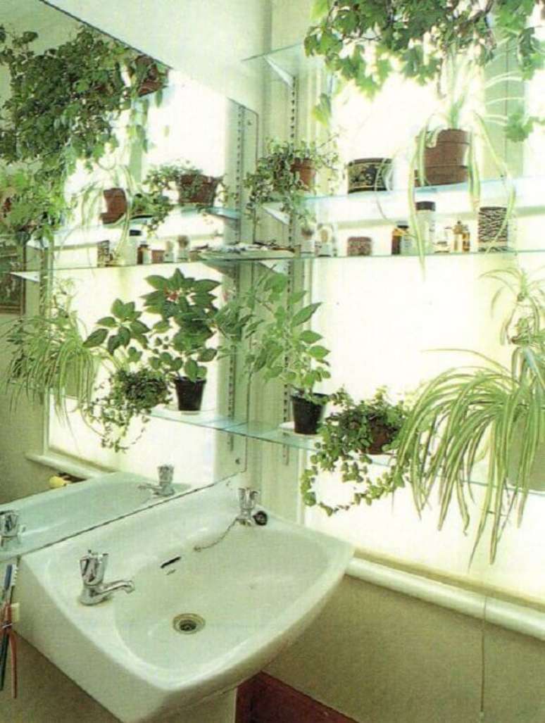 9- As plantas para banheiro podem ser colocadas próximas à janela. Fonte: Pinterest