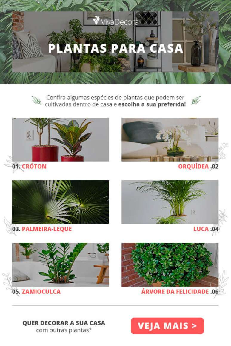 Infográfico – Plantas para Dentro de Casa
