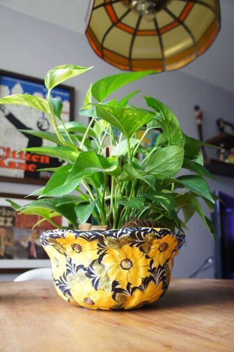 36- A jiboia é uma das plantas para dentro de casa que se adapta também a área externa. Fonte: Morando com Amor
