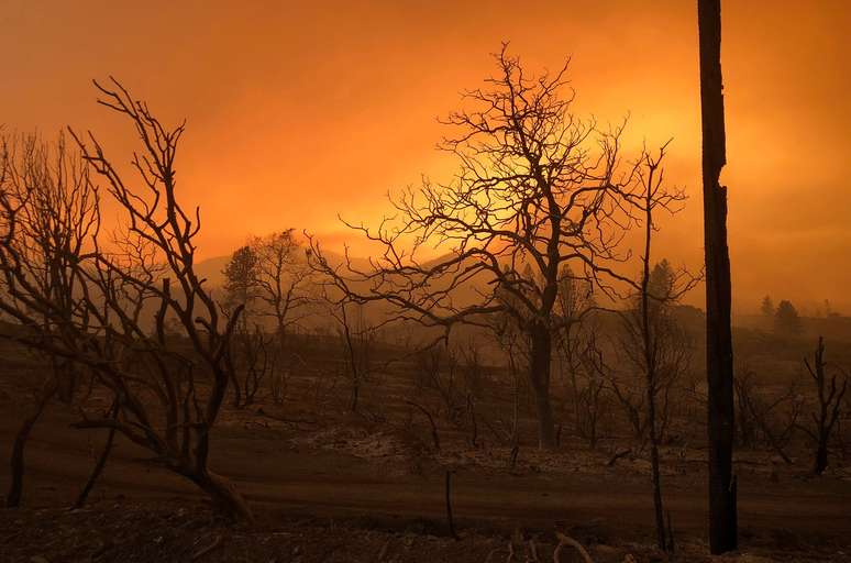 Incêndio florestal perto de Keswick, na Califórnia
27/07/2018
REUTERS/Alexandria Sage