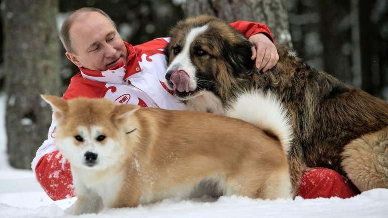 O Jap&atilde;o deu Yume (&agrave; esquerda) para Vladimir Putin em 2012; na foto tamb&eacute;m aparece Buffy, outro cachorro do presidente russo
