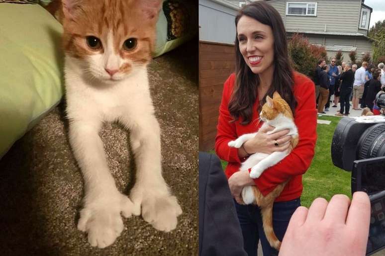 Jacinda Ardern, primeira-ministra da Nova Zel&acirc;ndia, &eacute; dona do gato Paddles