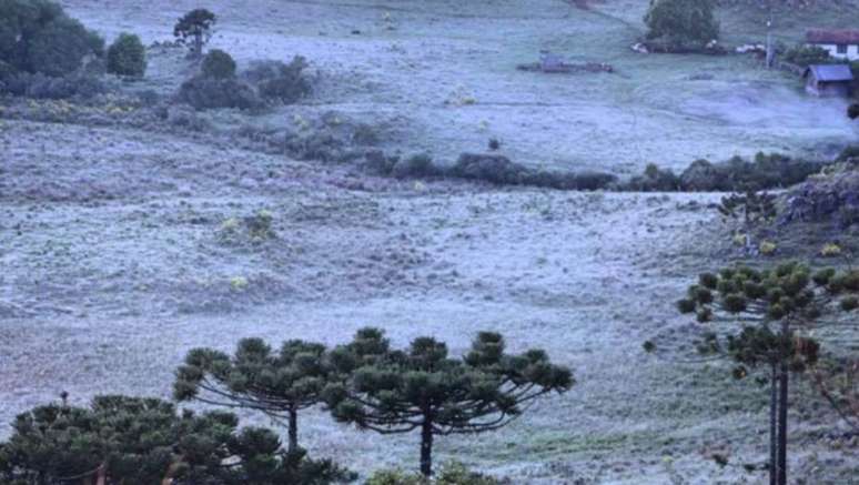 Geada em São Joaquim em pleno mês de Dezembro