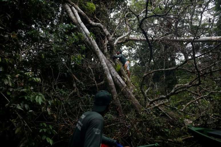 Pesquisadores na Floresta Amazônica
 1/6/2017    REUTERS/Bruno Kelly