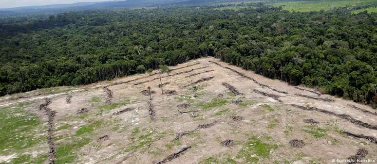 Em 2018, taxa de desmatamento da Amazônia foi a mais alta da última década: 7,9 mil km²