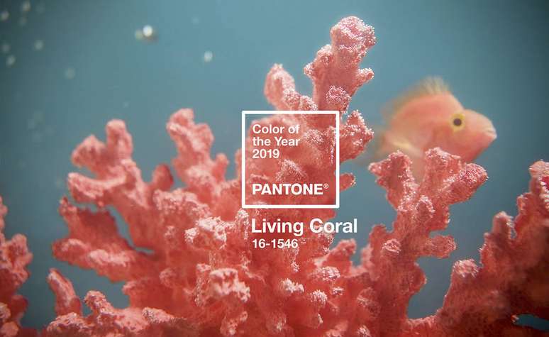 Living Coral é a aposta da Pantone para 2019.