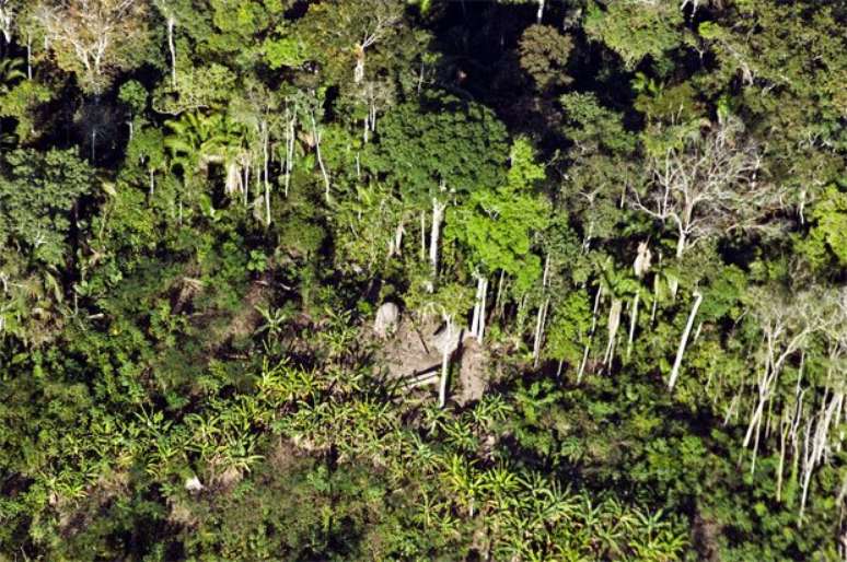 Roça próxima a aldeia na Amazônia; segundo sociólogo, manejo praticado por povos nativos brasileiros equivale a agricultura sofisticada
