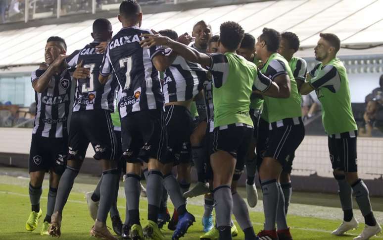 Após temporada irregular, o Botafogo terminou o Brasileirão em nono lugar (Foto: Vítor Silva/SSPress/Botafogo)