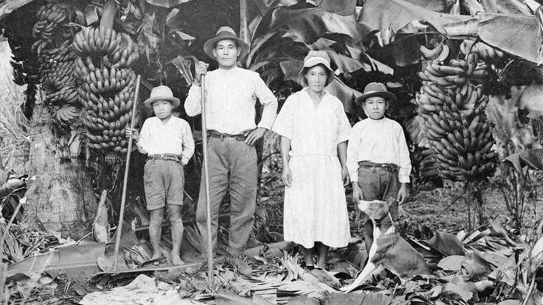 No início da imigração japonesa, soja não era produto prioritário em termos econômicos - mas teve cultivo em pequena escala para consumo familiar | Foto: Acervo do Museu Histórico da Imigração Japonesa no Brasil