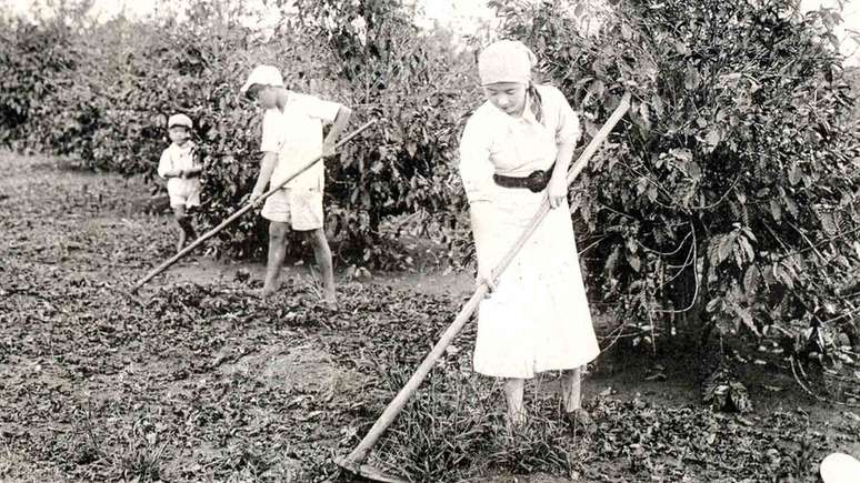 O café atraiu milhares de imigrantes japoneses ao Brasil | Foto: Acervo do Museu Histórico da Imigração Japonesa no Brasil