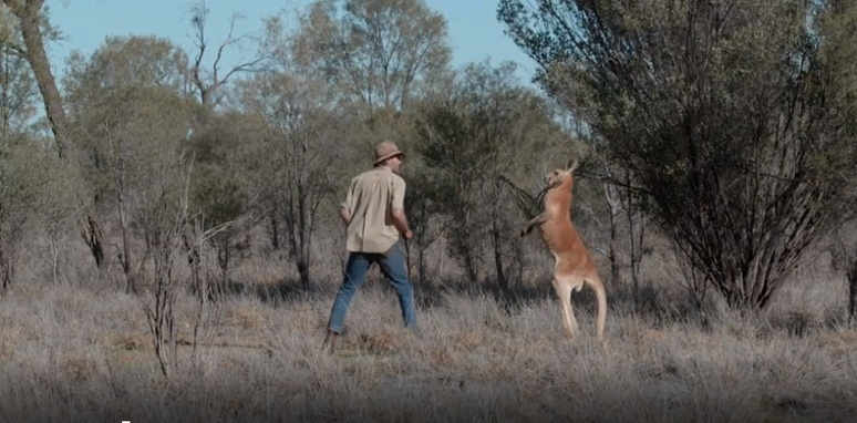 'Ele ainda era beb&ecirc; quando o salvei, ele estava dentro da bolsa da m&atilde;e que foi morta na estrada', conta o criador