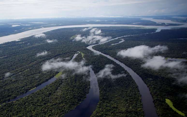 Vista aérea de mata e rios amazônicos