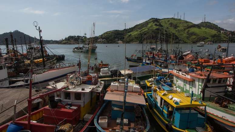 Ibama já aplicou 19 multas em 2018 em pescadores do Espírito Santo; na praia de Suá; eles foram proibidos de pescar camarão