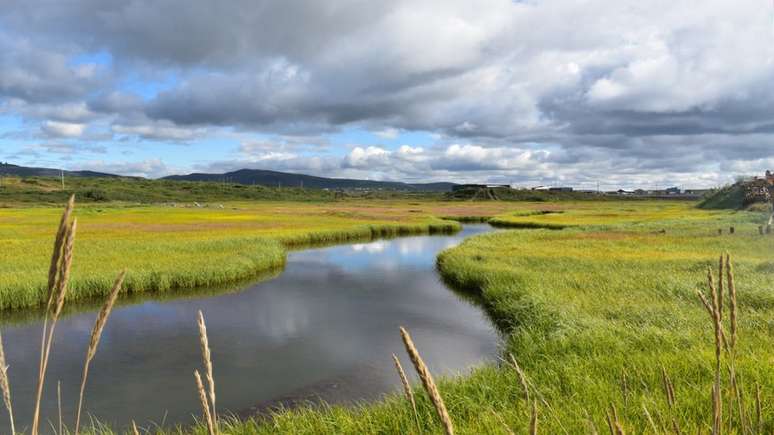 O &Aacute;rtico est&aacute; mais verde, mas essa n&atilde;o &eacute; uma boa not&iacute;cia para as renas selvagens e os caribus