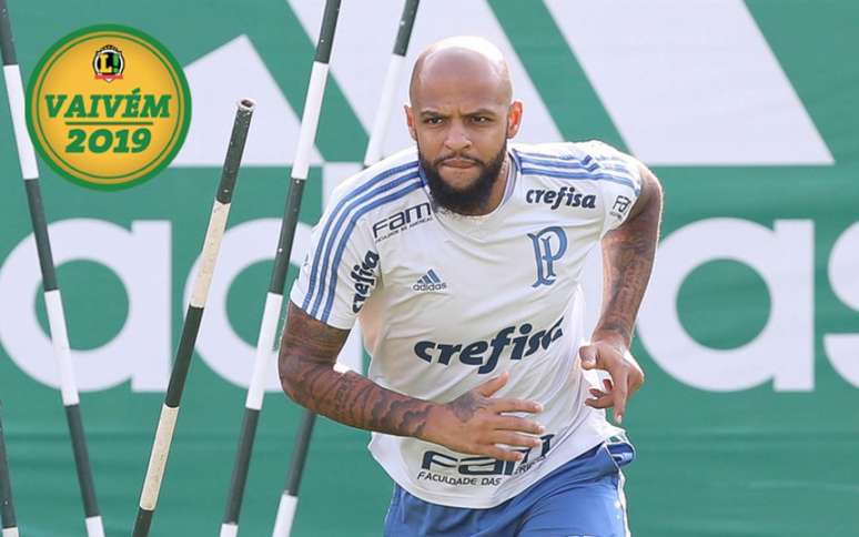 Felipe Melo jogou os últimos dois anos pelo Palmeiras e está na mira do Flamengo (Foto: Cesar Greco)