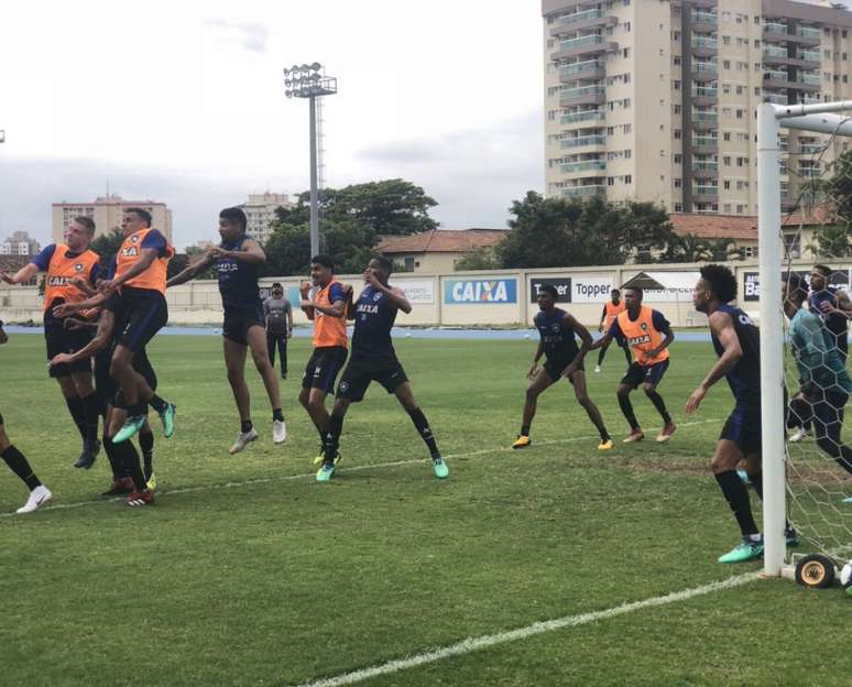 Em 2018, o Glorioso treinou o ano inteiro no Estádio Nilton Santos (Foto: Divulgação/Botafogo)