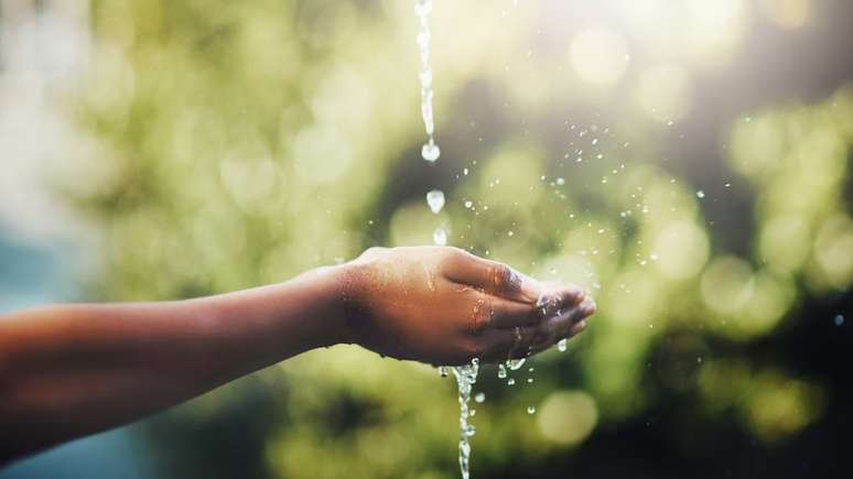 Rela&ccedil;&atilde;o entre homem e natureza &eacute; abordada por filosofia