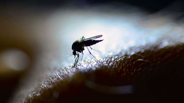 'Quanto mais quente, melhor para eles', diz o médico Enrique Barros sobre os mosquitos