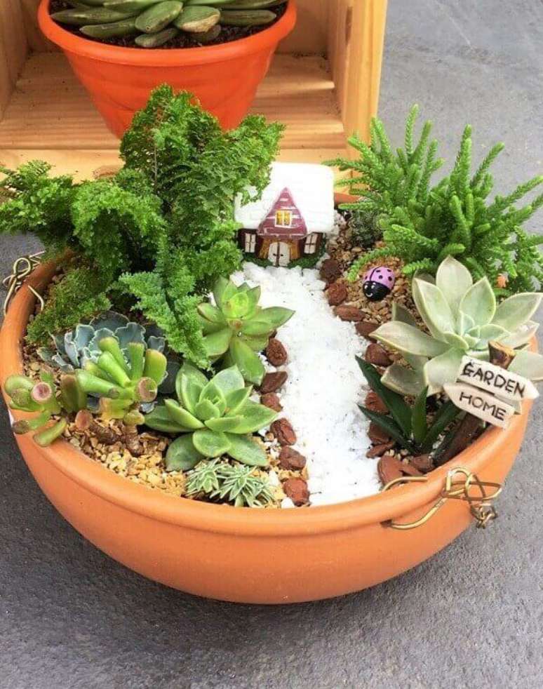 1- O Mini jardim de suculentas e cactos podem ser feitos em vasos cerâmicos. Fonte: Pinterest