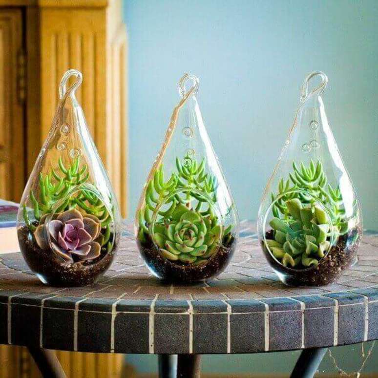 15- O mini jardim de suculentas é formado por 3 vasos de vidro transparentes. Fonte: Pinterest