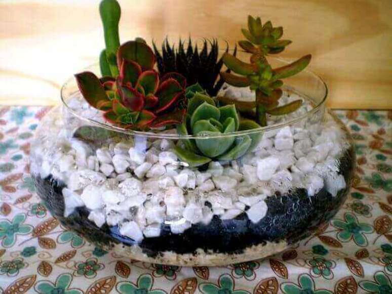 25- O mini jardim de suculentas podem ser encomendados ou comprados em Home Centers. Fonte: Pinterest