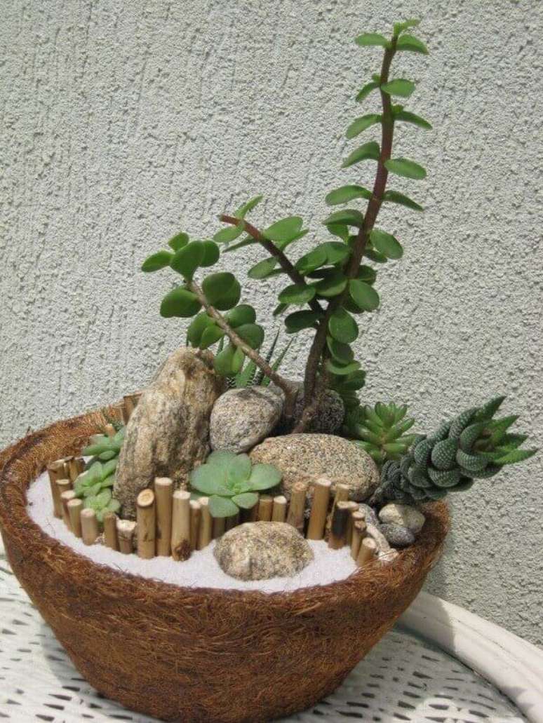 5- O mini jardim de suculentas foi montado em vaso de fibra de coco e com outros elementos decorativos Fonte Pinterest